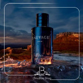 Dior - Dior Sauvage5